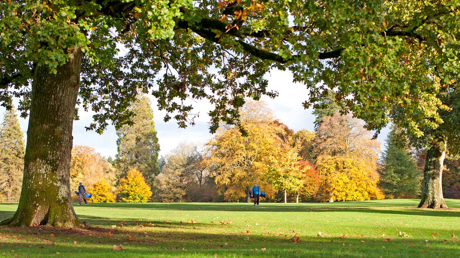 fall golf scene
