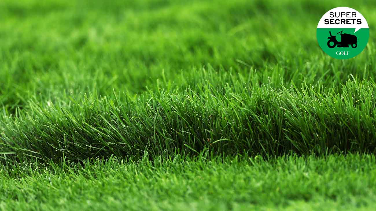 the rough in a practice round at Oakmont before the 2025 U.S. Open.