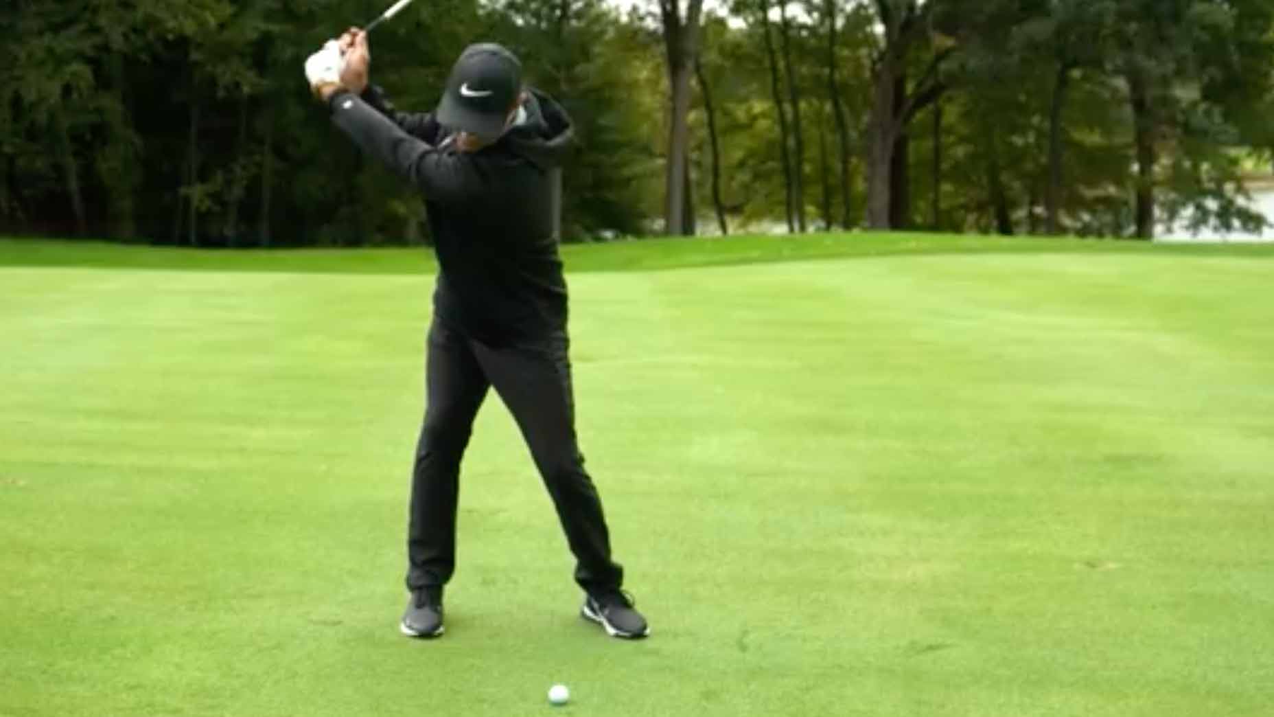 trevor immelman swings